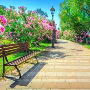 Parks and Leisure Areas